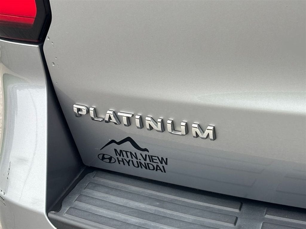 2024 Ford Expedition Platinum