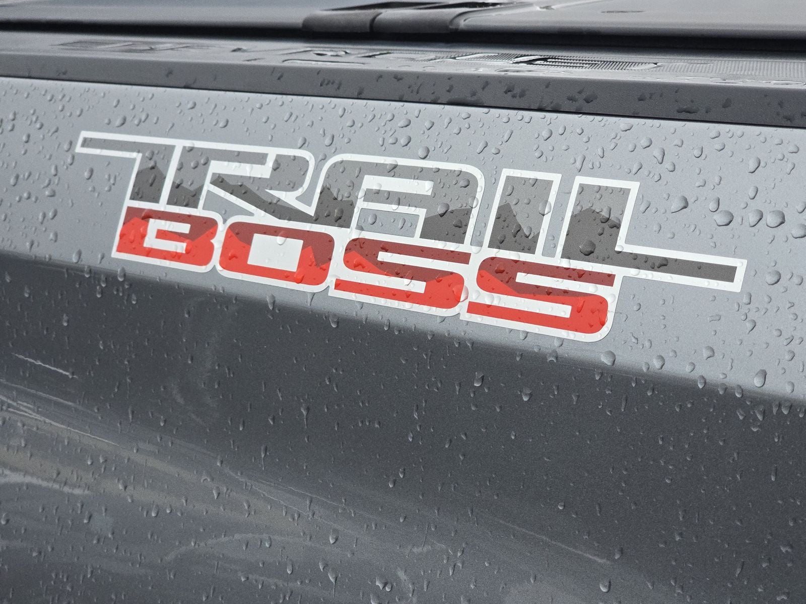 2020 Chevrolet Silverado 1500 LT Trail Boss