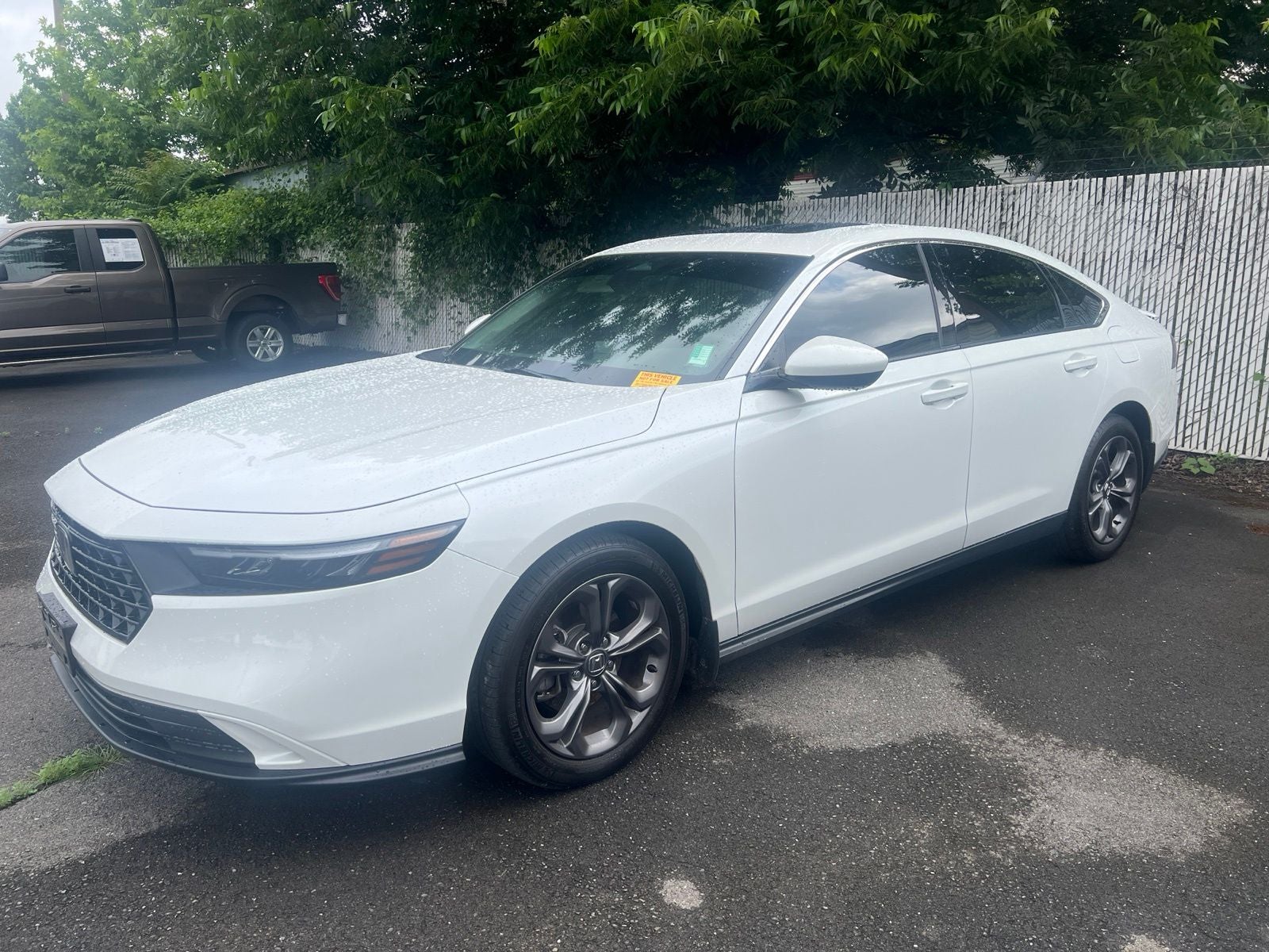 2024 Honda Accord 1.5T EX CVT's photo
