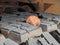 2011 Nissan Frontier SV