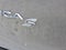 2024 Chrysler Pacifica Hybrid Select Premium S Appearance
