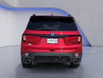 2024 Honda Passport Black Edition